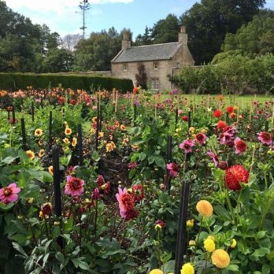 江南平台app下载安装app下载