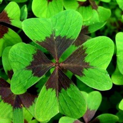 万博·ManBetX手机