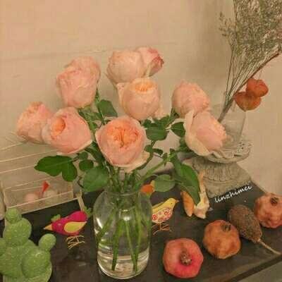 经典牛牛下载手机版