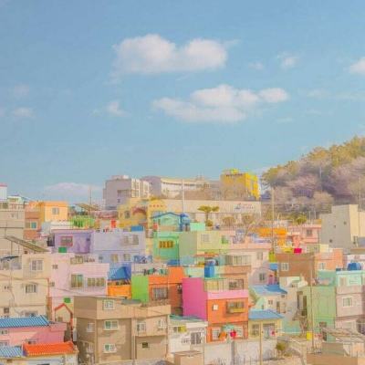 太阳集团娱乐官方网站下载