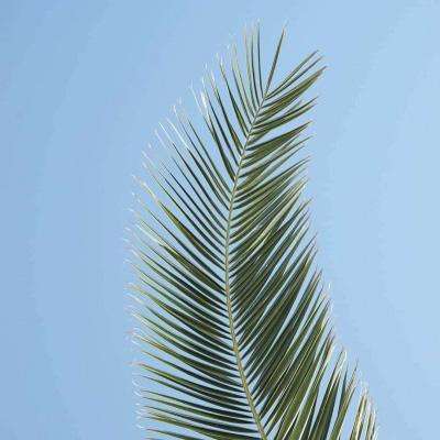 竞彩足球app官方下载安装手机版