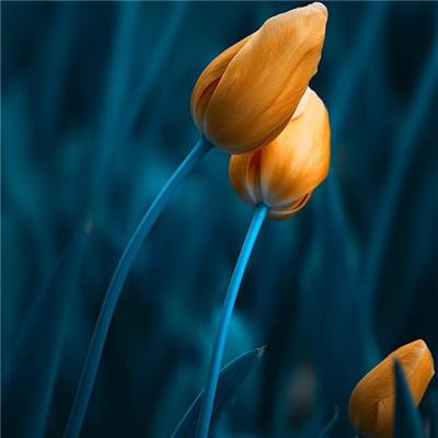 爱游戏全站APP下载app下载截图